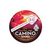 Camino Sours - Orchard Peach Balance 1:1 Gummies 100mg