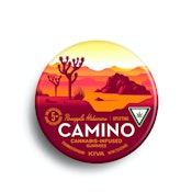 Camino - Pineapple Habanero Uplifting Gummies 100mg 