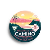 Camino - Watermelon Lemonade Bliss Gummies 100mg
