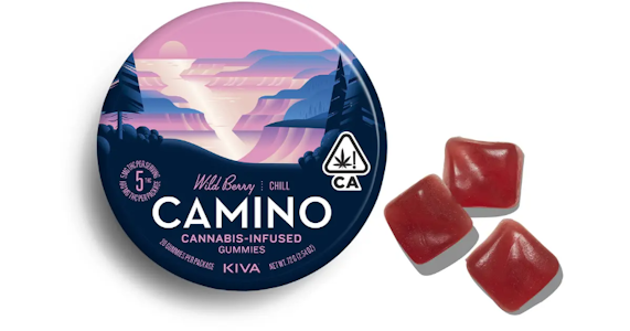 Camino - Camino - Wild Berry Gummies 100mg