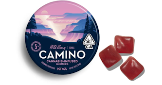 Camino - Wild Berry Gummies 100mg