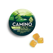 Kiva - Camino - Sparkling Pear CBD - Gummy - 100mg
