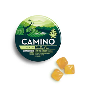 KIVA - Kiva - Camino - Sparkling Pear CBD - Gummy - 100mg