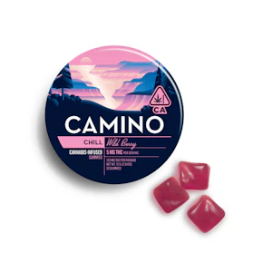 KIVA - Kiva - Camino - Wild Berry (I) - Gummy - 100mg