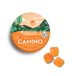 Kiva Camino Gummies 1:2 THC:CBG Freshly Squeezed