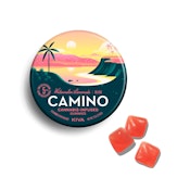 Kiva | Camino Gummies (20ct) | Watermelon Lemonade | 100mg