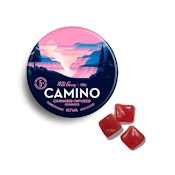 Kiva Camino | Gummies (20ct) | Wild Berry | 100mg