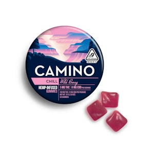 CAMINO - [CAMINO] THC GUMMY - 100MG - WILD BERRY (I)