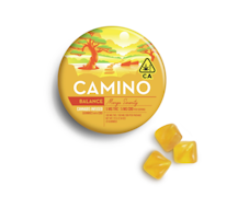 Camino | Mango Serenity 1:1 | Balance | CBD Gummies | 100mg