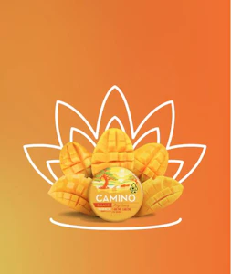 KIVA - Kiva Camino Gummies Mango Serenity CBD 1:1