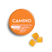 Camino | Pineapple Habanero | 100mg (20pk)
