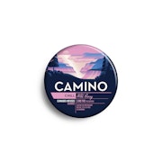 Camino | Wild Berry | 20pk 100mg gummies