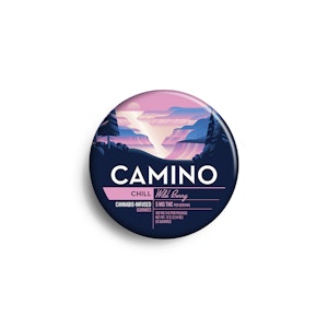 CAMINO - Camino | Wild Berry | 20pk 100mg gummies