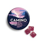 Wild Berry Gummies 20 Pack | Camino | Edible