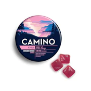 Camino | Wild Berry | 20pk 100mg 