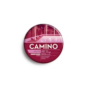 Camino | Wild Cherry | 20pk 100mg Gummies