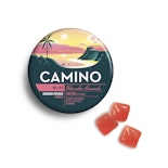 Watermelon Lemonade Gummies 20 Pack | Camino | Edible