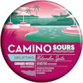 Camino Sours | Watermelon Spritz | 100mg