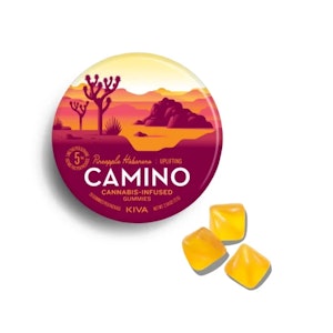 CAMINO - Camino | Edibles | Pineapple Habanero | 20pk 100mg