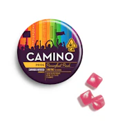 Camino | Passionfruit Punch | Pride | Gummies | 20pk | 100mg