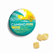 Camino | Edibles | Tropical Burst | 10pk 100mg