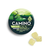 Camino - 100mg Gummies - Sparkling Pear 1:3 CBD