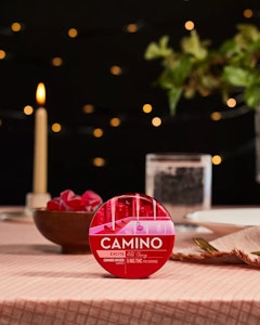 CAMINO - Camino Gummies - Wild Cherry - 100mg