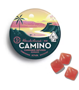 Camino | Watermelon Lemonade | Bliss |  Gummies | 20pk | 100mg 
