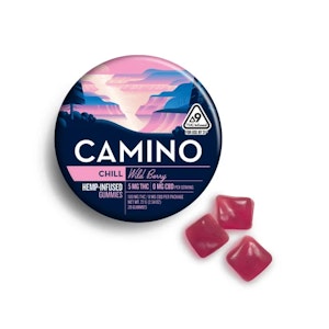 CAMINO - Camino | Edibles | Wild Berry | 20pk 100mg