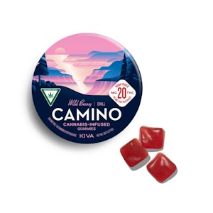 CAMINO - Camino | Chill | Wild Berry