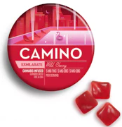 Kiva Camino Gummies Wild Cherry 1:1:1