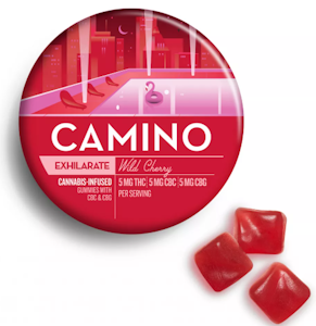 KIVA - Kiva Camino Gummies Wild Cherry 5:5:5