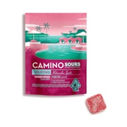 Camino Sours - 10mg Gummies Trial Pack - Watermelon Spritz