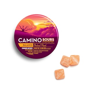 Kiva Confections - Kiva | Camino Gummies (10ct) | Sour Orchard Peach 1:1 CBD  | 100 mg