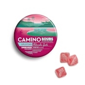 Kiva Camino | Gummies (10ct) | Sour Watermelon Spritz | 100mg