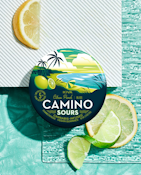 Camino - Citrus Punch Sours Gummies 100mg