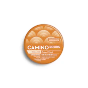 Camino Sours | Orchard Peach 1:1| 100mg (10pk)