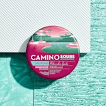 Camino Sours - Watermelon Spritz - 100mg - Edible