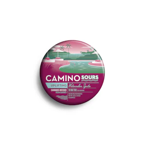 CAMINO - Watermelon Spritz 10mg Sour Gummies 10 Pack | Camino