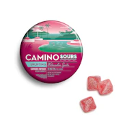 Camino Sours | Watermelon Spritz | 100mg