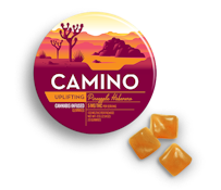CAMINO - PINEAPPLE HABANERO 100MG