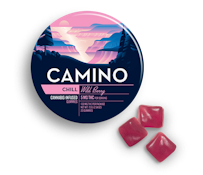 Camino Gummies Wild Berry