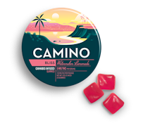 CAMINO - WATERMELON LEMONADE 100MG