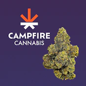 Purple Octane - 4g - Campfire Cannabis