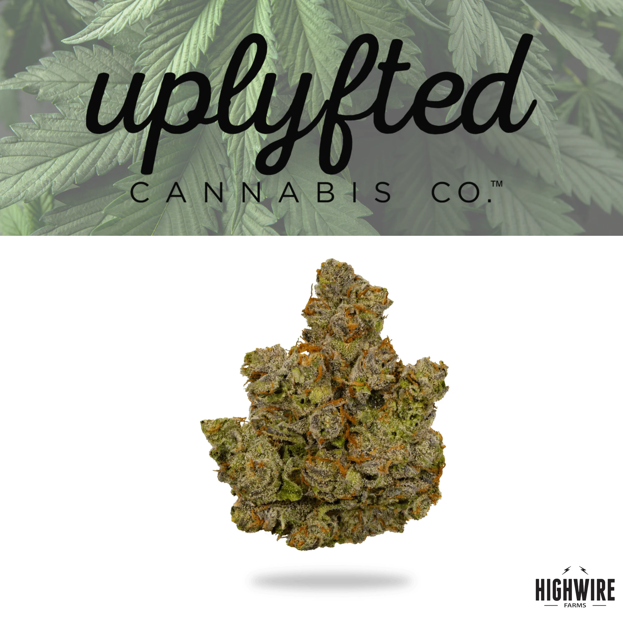 UPLYFTED CANNABIS - Canal St Runtz 1/8th Main Image