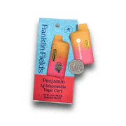 Cherry Lime Runtz 1g Live Resin Disposable Penjamin - FRANKLIN FIELDS
