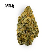 Candy Cane Bulk Flower - PABLO