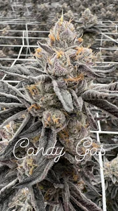 CA420 - CA420 - Candy Gas - 3.5g FLower