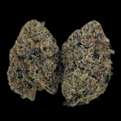 Candy Sorbet -- 1/2 Ounce