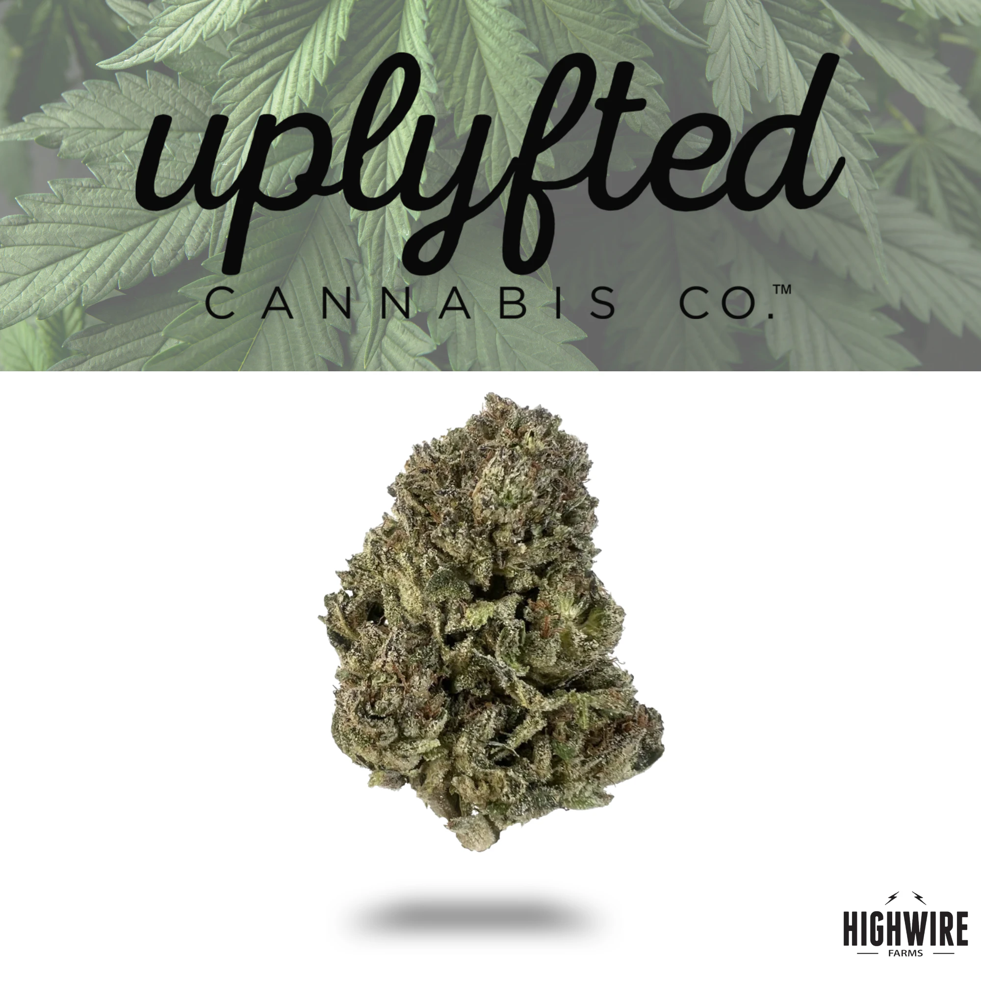 UPLYFTED CANNABIS - Candy Gas 1/8th Main Image